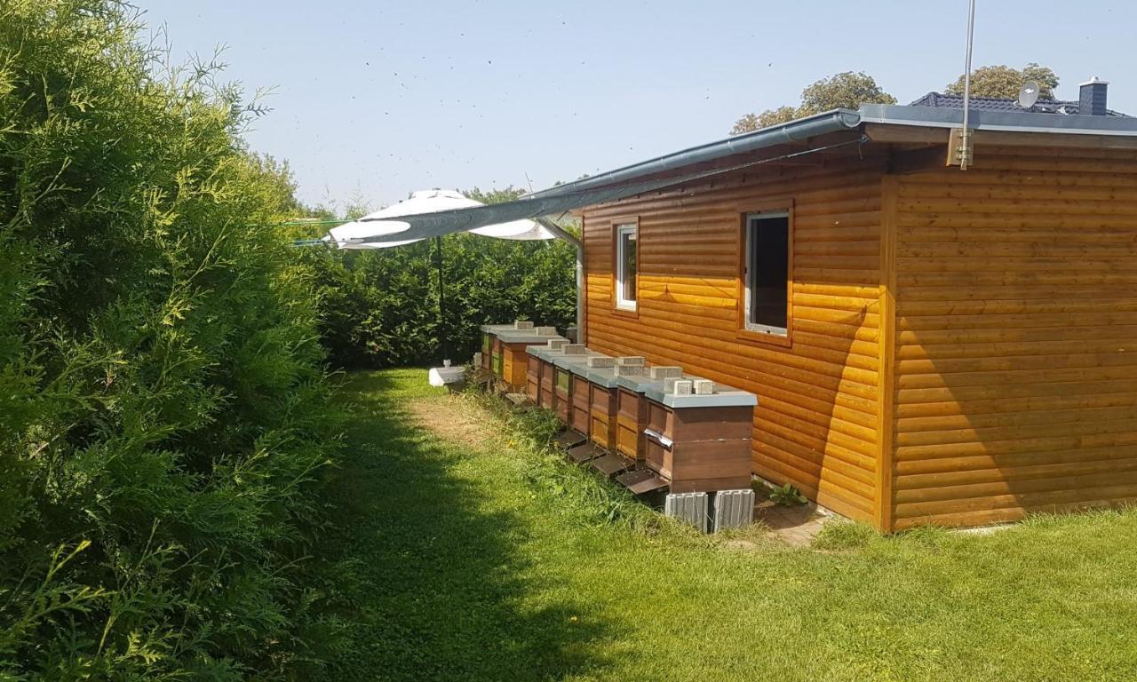 Ferienhaus Zum Imker フェルテン エクステリア 写真